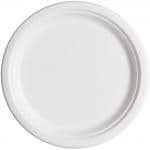 Renewable & Compostable Sugarcane Plates - 10 in