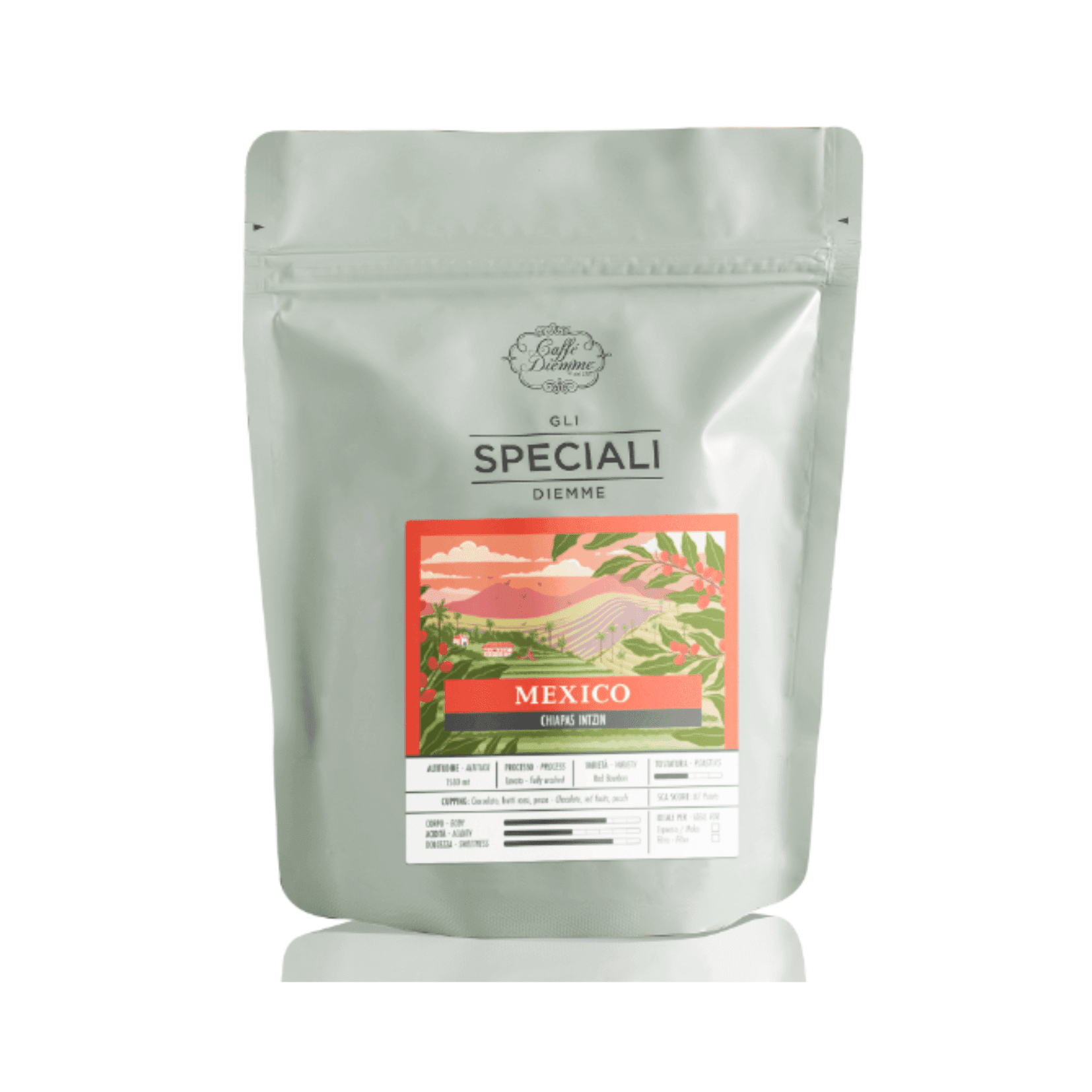 MEXICO “MICROLOT LORENZO INTZIN”