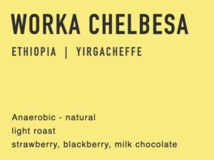 anaerobic natural worka chelbesa Coffee From  Gracest coffee On Cafendo