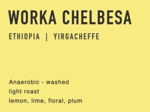 anaerobic worka chelbesa Coffee From  Gracest coffee On Cafendo