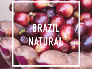 BRAZIL NATURAL Coffee From  Daybreak Coffee Roasters On Cafendo