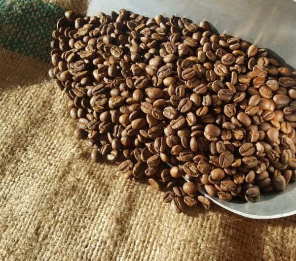 COSTA RICAN TARRAZU Coffee From  Brown Dog Coffee On Cafendo
