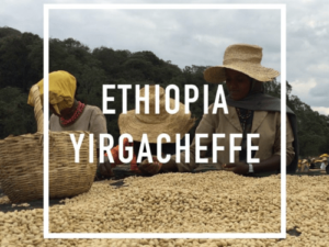 ETHIOPIA YIRGACHEFFE Coffee From  Daybreak Coffee Roasters On Cafendo