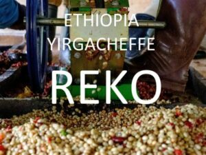 Ethiopia Yirgacheffe REKO Coffee From  Theodore's Coffee On Cafendo