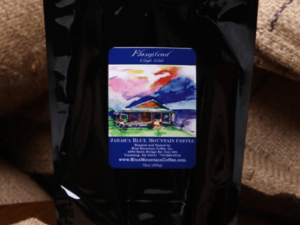 Flamstead 100% Jamaican Blue Mountain Flat Green Bean Coffee From Blue Mountain Coffee On Cafendo