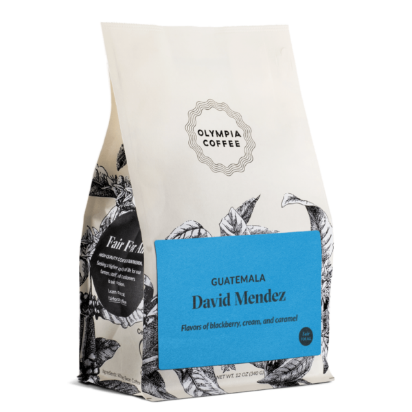 GUATEMALA David Mendez Coffee From  Olympia On Cafendo