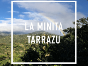 LA MINITA TARRAZU Coffee From  Daybreak Coffee Roasters On Cafendo