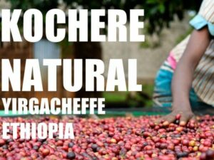NATURAL ETHIOPIA YIRGACHEFFE KOCHERE Coffee From  Theodore's Coffee On Cafendo