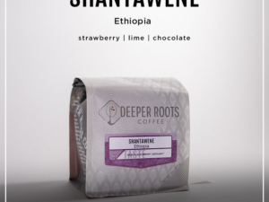 SHANTAWENE | ETHIOPIA Coffee From  Deeper Roots Coffee On Cafendo