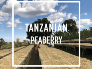 TANZANIA PEABERRY Coffee From  Daybreak Coffee Roasters On Cafendo