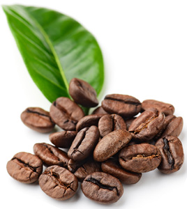 Coffee Beans & Leaf